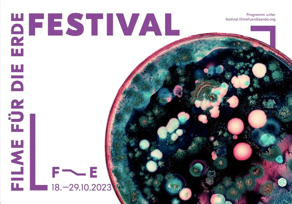 Flyer Festival 2023